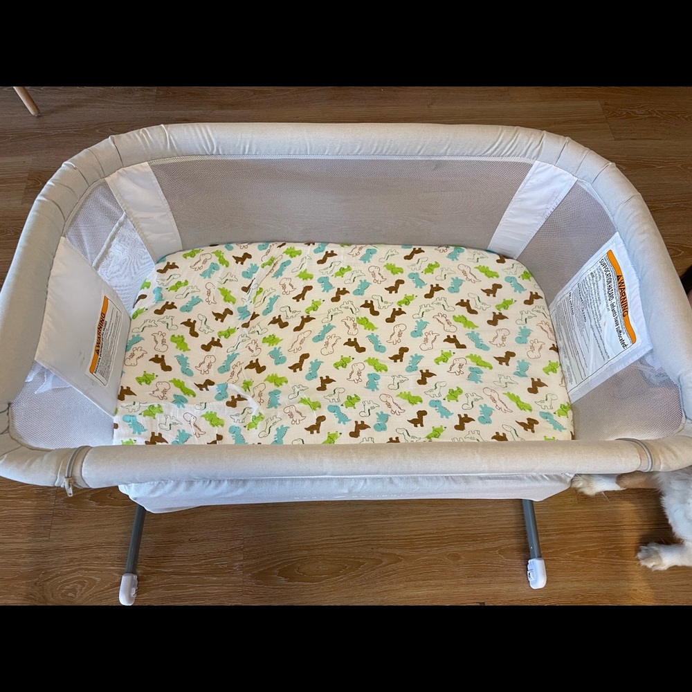 Baby delight dream bassinet